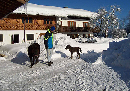 Andrebauernhof Inzell